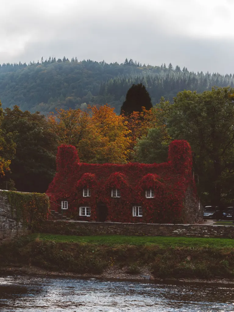 Tu-Hwnt-I'r Bont Tearooms, Llanrwst during autumn
