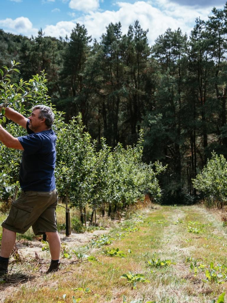  Andy Hallett y su hijo trabajando en los manzanos en Blaengawney Farm.