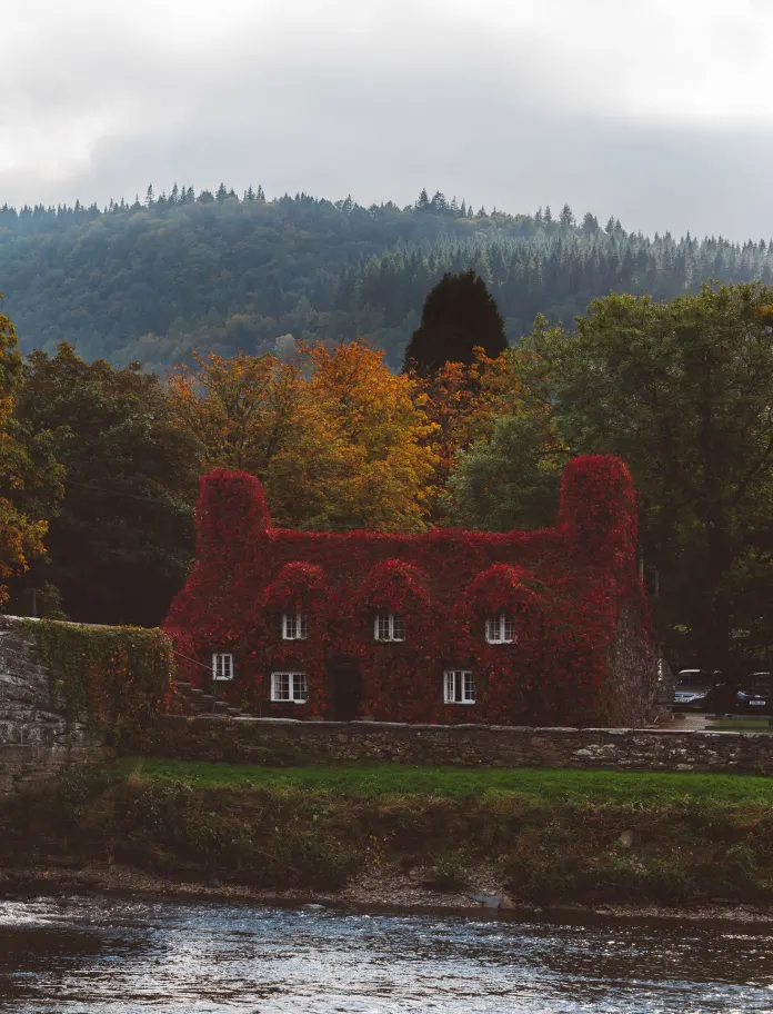 Tu-Hwnt-I'r Bont Tearooms, Llanrwst during autumn