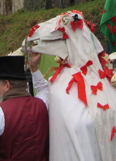 A couple of Mari Lwyds being led around by a group of people