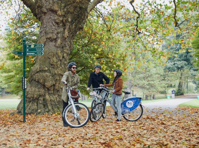 trois personnes font une pause sur leurs vélos sous un arbre entouré de feuilles mortes