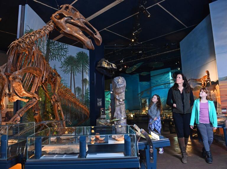 Una familia paseando por un museo, mirando el esqueleto de un dinosaurio.