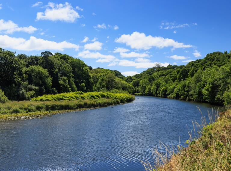 A view of the river surrounded by trees.