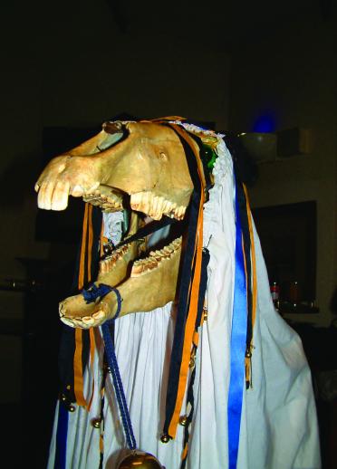 Un cheval squelette (la Mari Lwyd) avec la mâchoire ouverte
