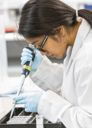 研究室の女子学生、スウォンジー大学