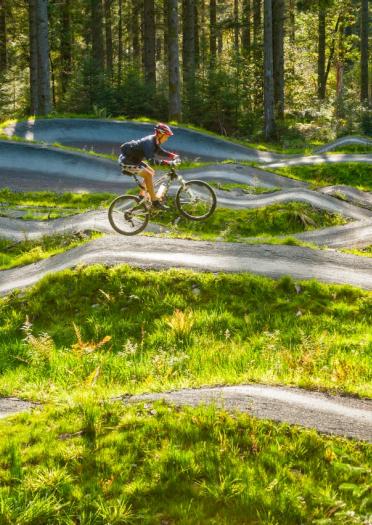 Ein Radfahrer genießt eine Mountainbike-Strecke an einem sonnigen Tag