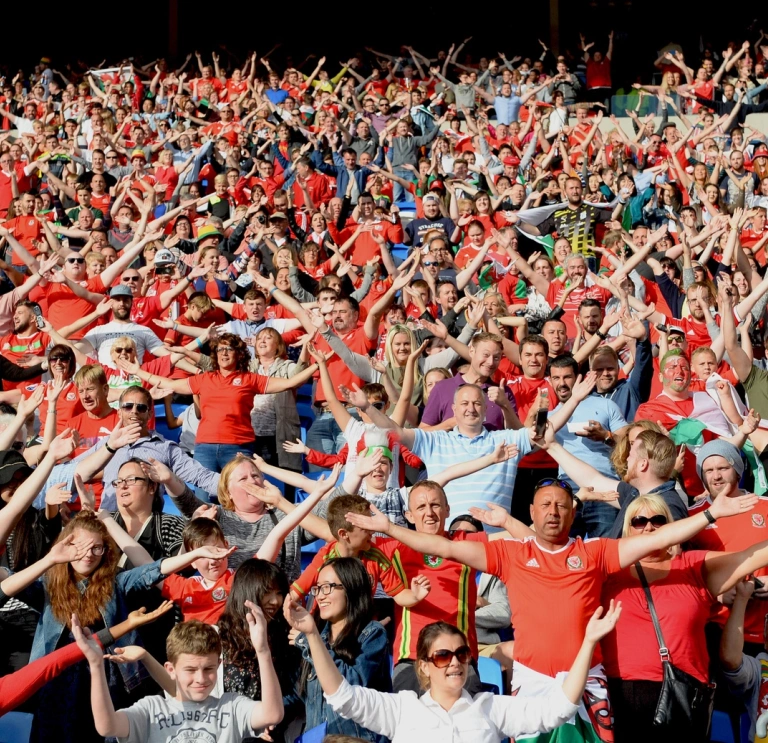 A crowd of football supporters.