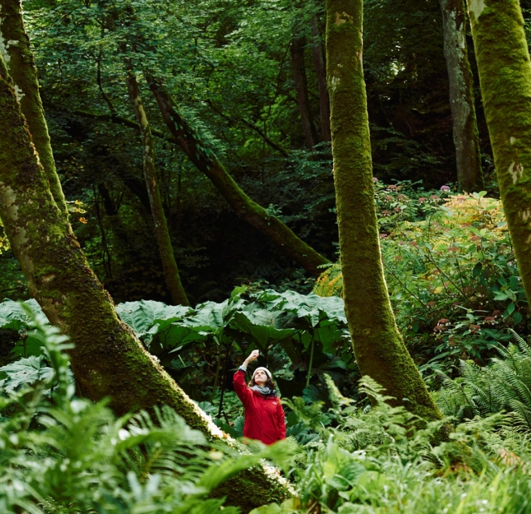 A person in a red coat, standing in a green forest taking a photo of the canopy with their phone