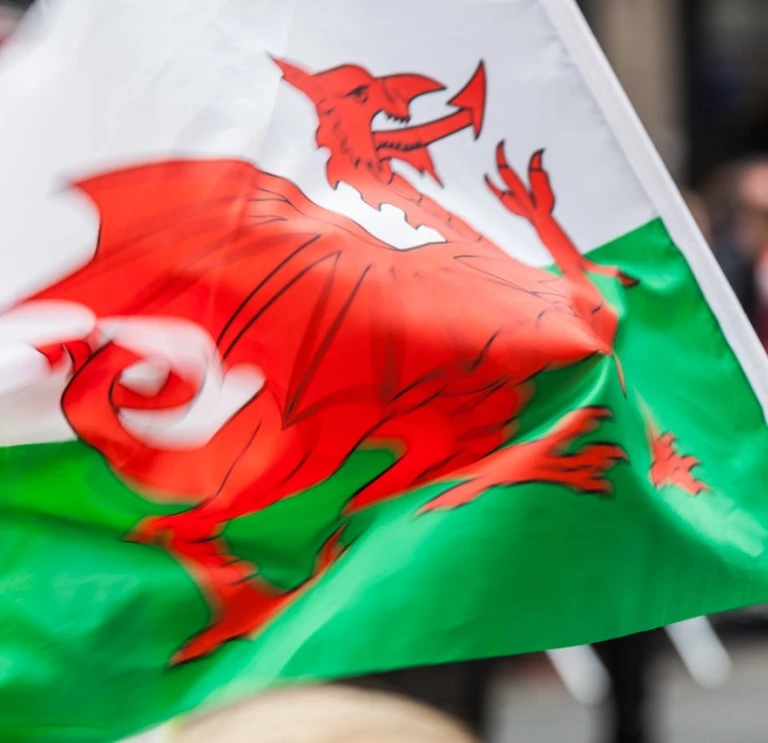 A Welsh flag flying in front of a crowd 