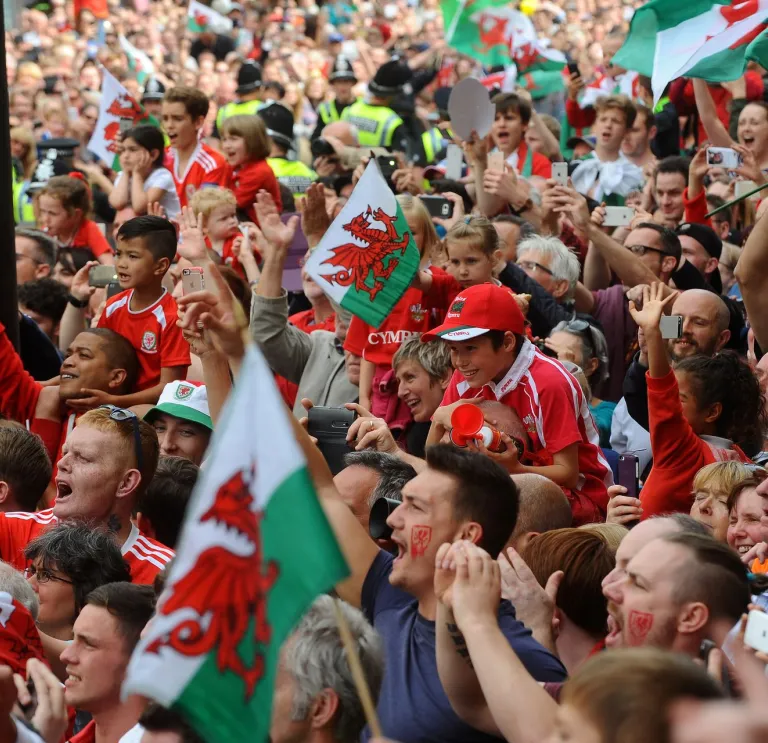 Crowd of football supporters.