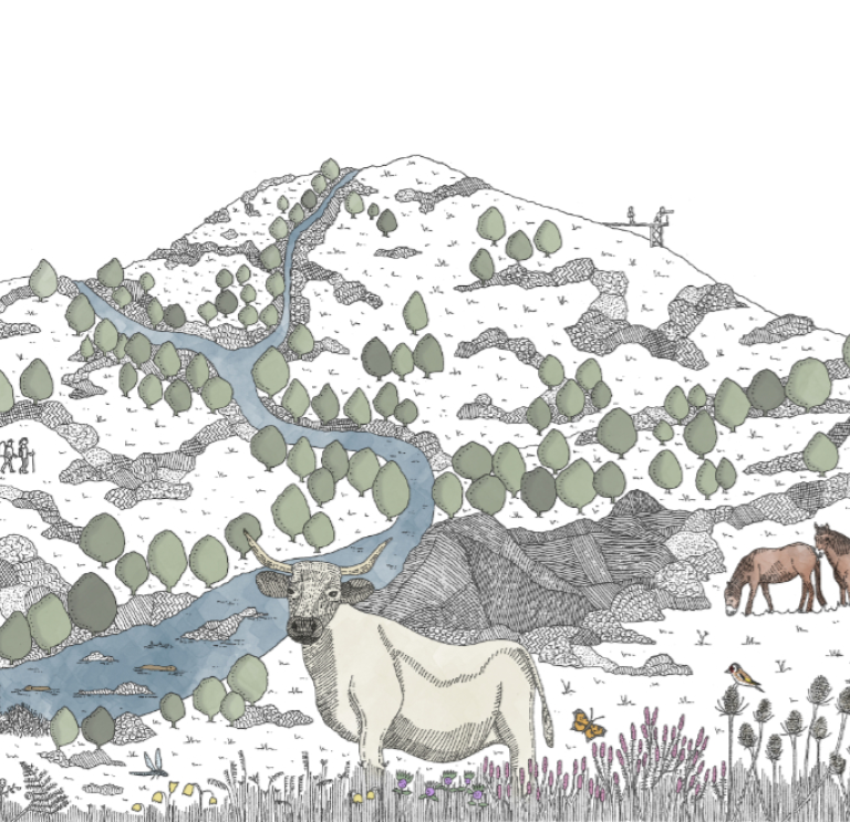 An illustration of the nature reserve with animals, mountains and trees.