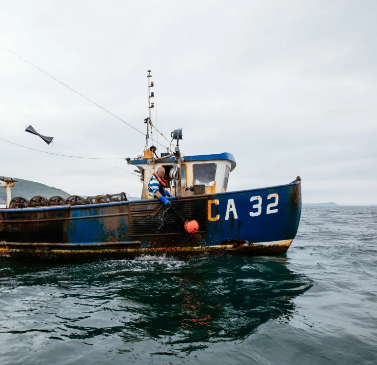 Fishing boat in Cardigan Bay