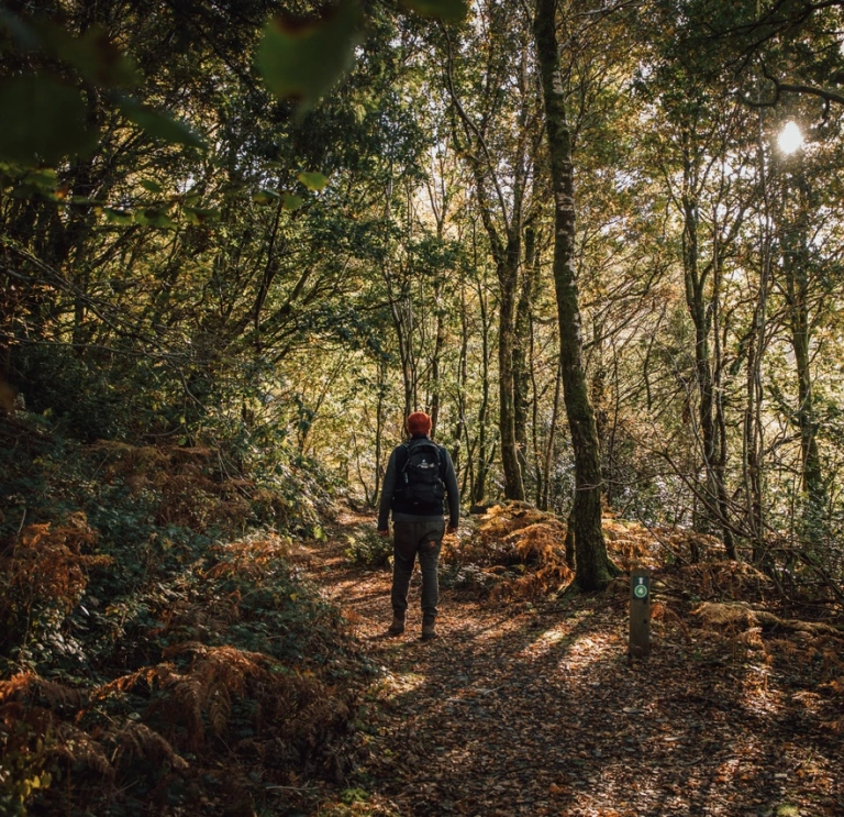 Ein Mann geht durch einen Wald