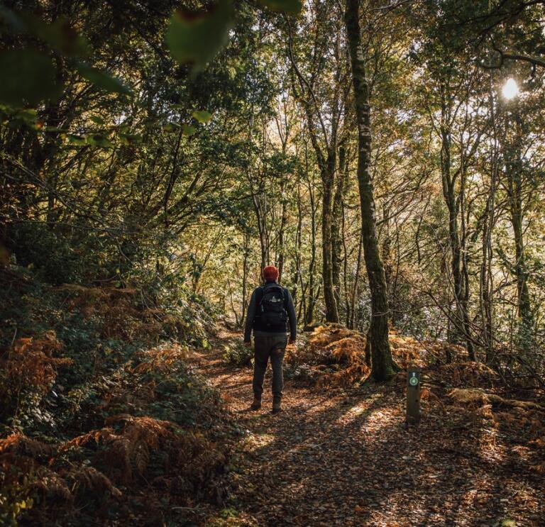 Un hombre caminando por un bosque.