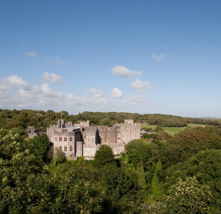 A castle amongst green trees