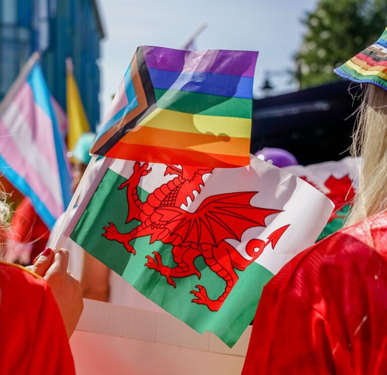 Une image montrant une série de drapeaux gallois et LGBTQIA+ tenus par des fans de sports gallois