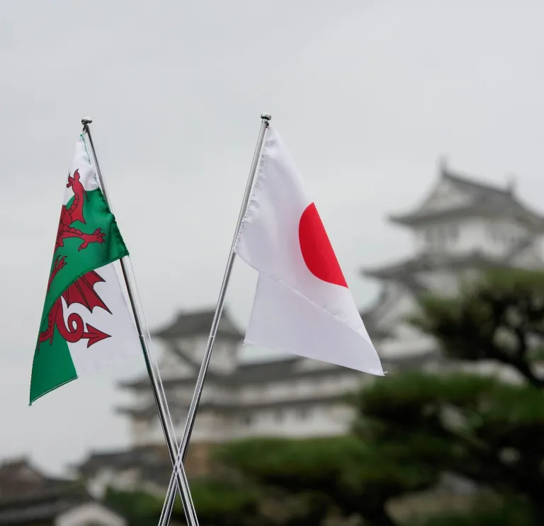 A Welsh flag in front of Himeji castle in Hyogo, Japan 