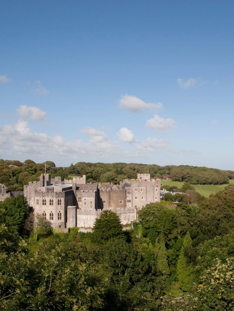 A castle amongst green trees