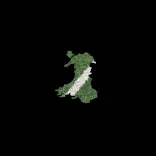 Map of Wales filled with sports turf