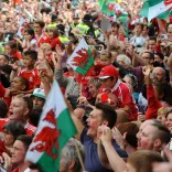 Crowd of football supporters.