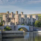 A view of the castle surrounded by a water.