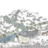 An illustration of the nature reserve with animals, mountains and trees.