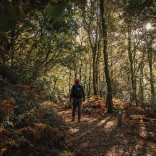 Ein Mann geht durch einen Wald