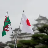 A Welsh flag in front of Himeji castle in Hyogo, Japan